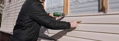 Best Residential Vinyl Siding Installation  in Perris, CA